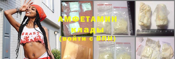 сатива Коряжма
