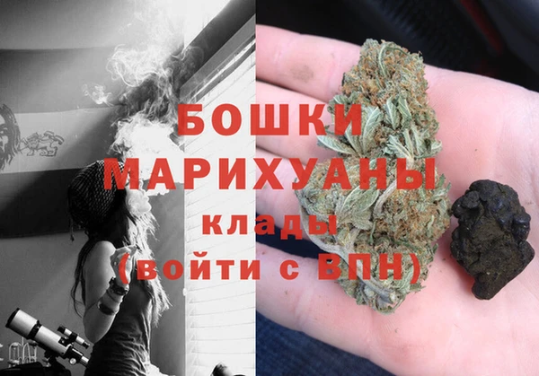 сатива Краснослободск