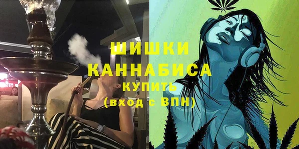 сатива Краснослободск
