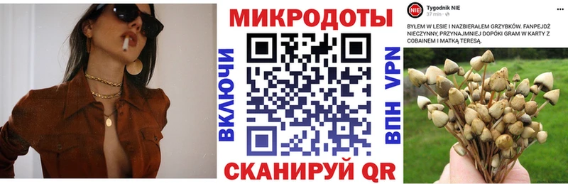 Галлюциногенные грибы мухоморы  Купить закладки  Химки 